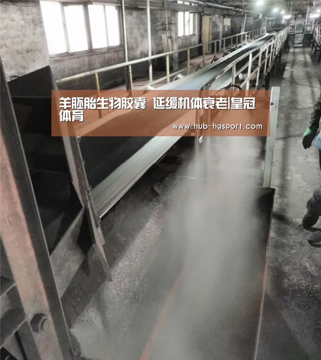 皇冠体育app