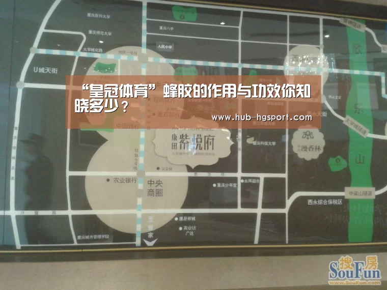 皇冠体育官网