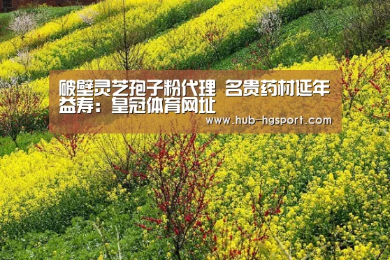 皇冠体育app